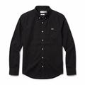 Camisa Lacoste talla XL slim fit stretch, viene reducida, sirve para talla M